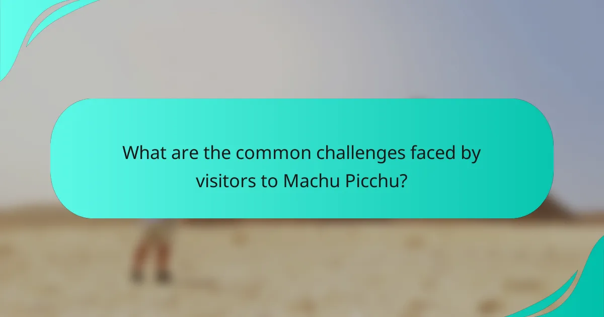 What are the common challenges faced by visitors to Machu Picchu?
