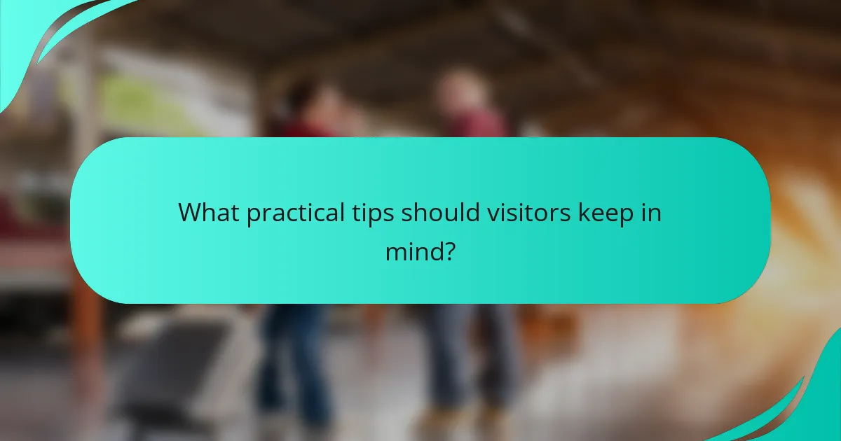 What practical tips should visitors keep in mind?